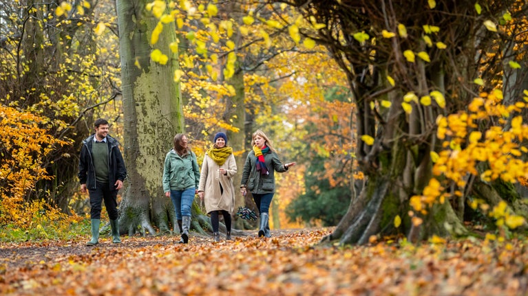 A group of friends on an autumn walk at Hardwick, Derbyshire
